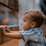 Новаторское исследование по изучению воспоминаний детей о прошлой жизни