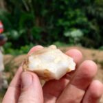 Каменные орудия возрастом 150 000 лет свидетельствуют о том, что люди жили в тропических лесах гораздо раньше, чем считалось ранее