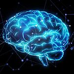 Алгоритм искусственного интеллекта используется для раскрытия нейробиологии человеческого языка