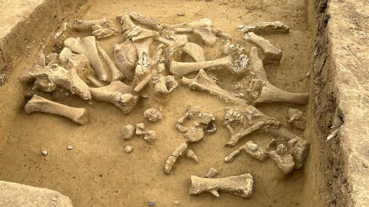 Кости мамонта возрастом 25 000 лет свидетельствуют о культуре древних людей