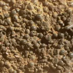 Ровер НАСА Perseverance обнаружил на Марсе нечто очень загадочное