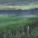 Гигантский грибоподобный организм может быть совершенно неизвестной ветвью жизни