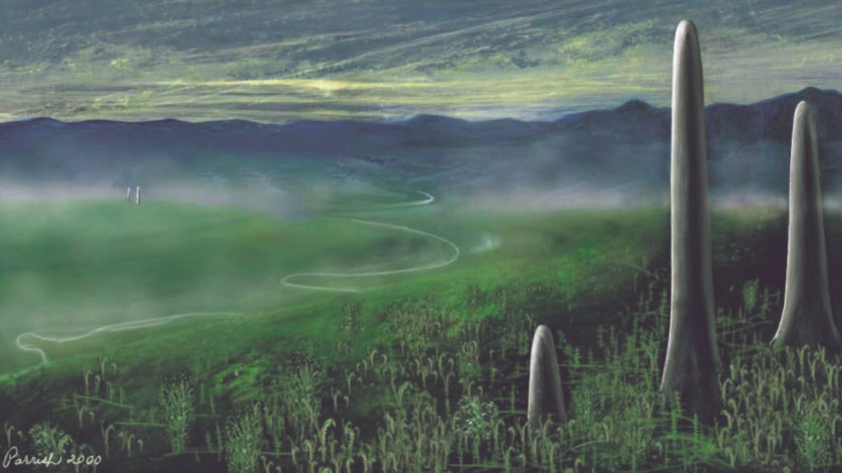 Гигантский грибоподобный организм может быть совершенно неизвестной ветвью жизни