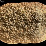 Марсоход НАСА обнаружил сотни "паучьих яиц" на Марсе - и ученые понятия не имеют, как они туда попали