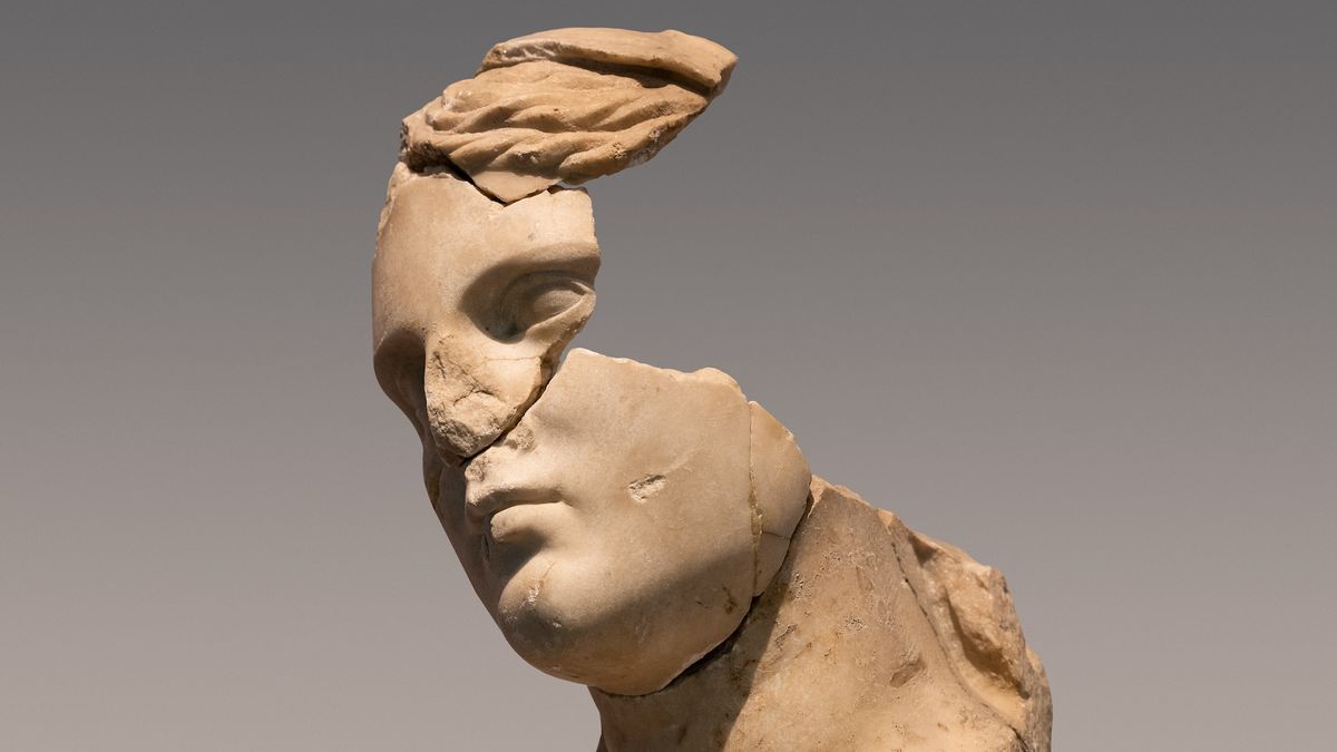 Сколько процентов мозга вам нужно, чтобы выжить?