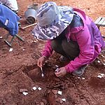 Неизвестные виды людей в Восточной Азии использовали сложные орудия труда в то же время, что и неандертальцы в Европе