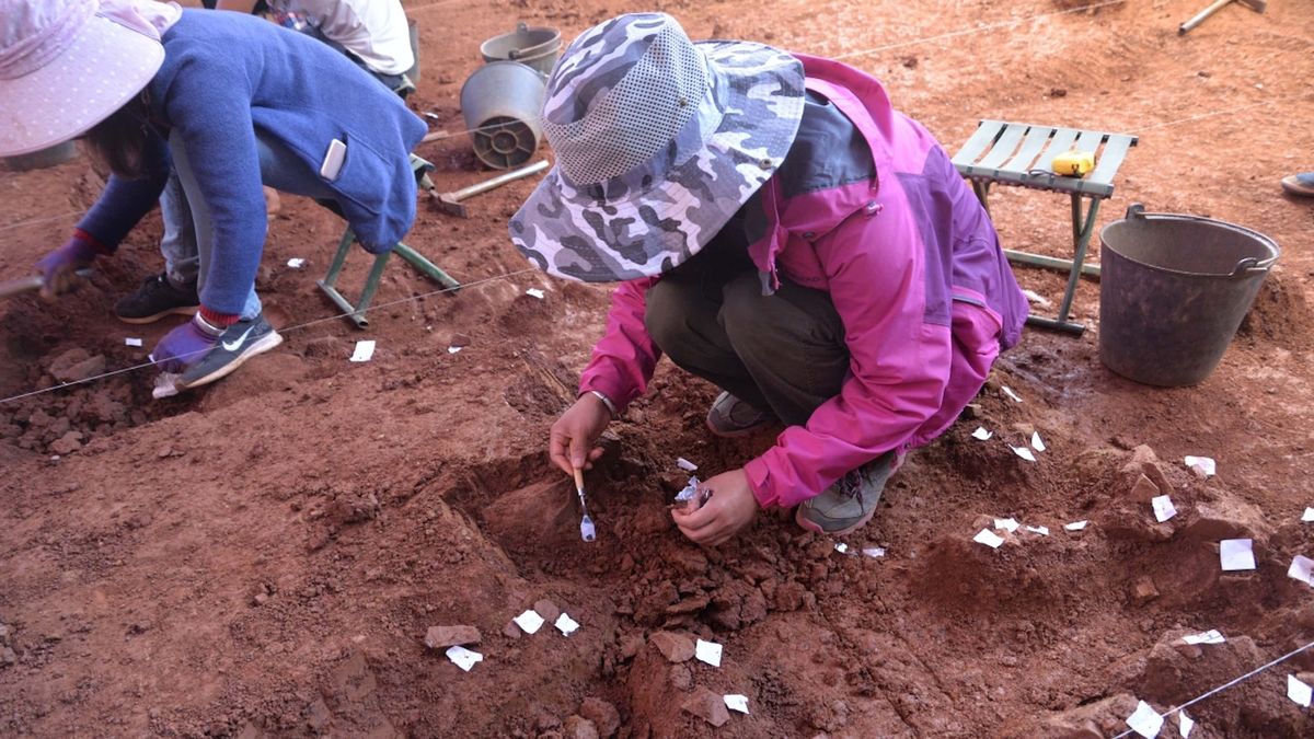 Неизвестные виды людей в Восточной Азии использовали сложные орудия труда в то же время, что и неандертальцы в Европе