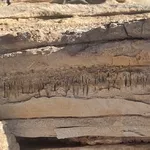 В пустыне обнаружены таинственные туннели, вырезанные неизвестной формой жизни