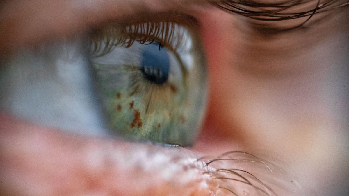 Новые клетки, обнаруженные в глазу, могут помочь восстановить зрение, говорят ученые