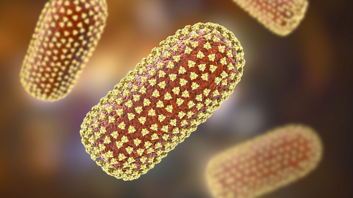 В "крайне редком" случае житель Мичигана умирает от бешенства после пересадки почки, несущей вирус