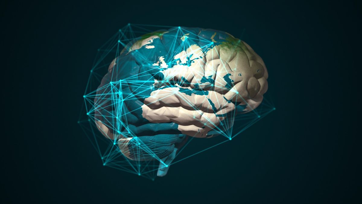 Мозг как карта: как мы ориентируемся в мире идей