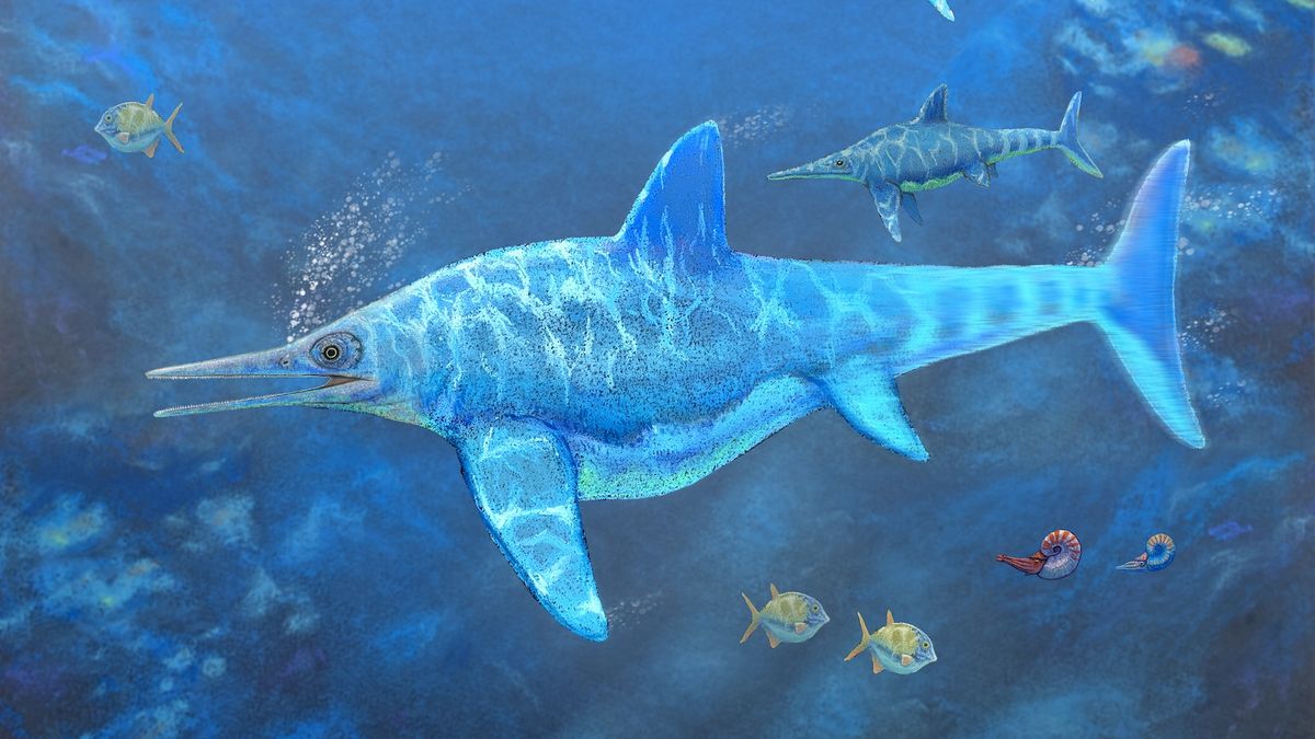 Морское чудовище эпохи динозавров было беременным близнецами, когда умерло