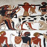 Захоронение элитной женщины со страусиным веером возрастом 4 000 лет показывает древнейшее в мире свидетельство использования головных ремней