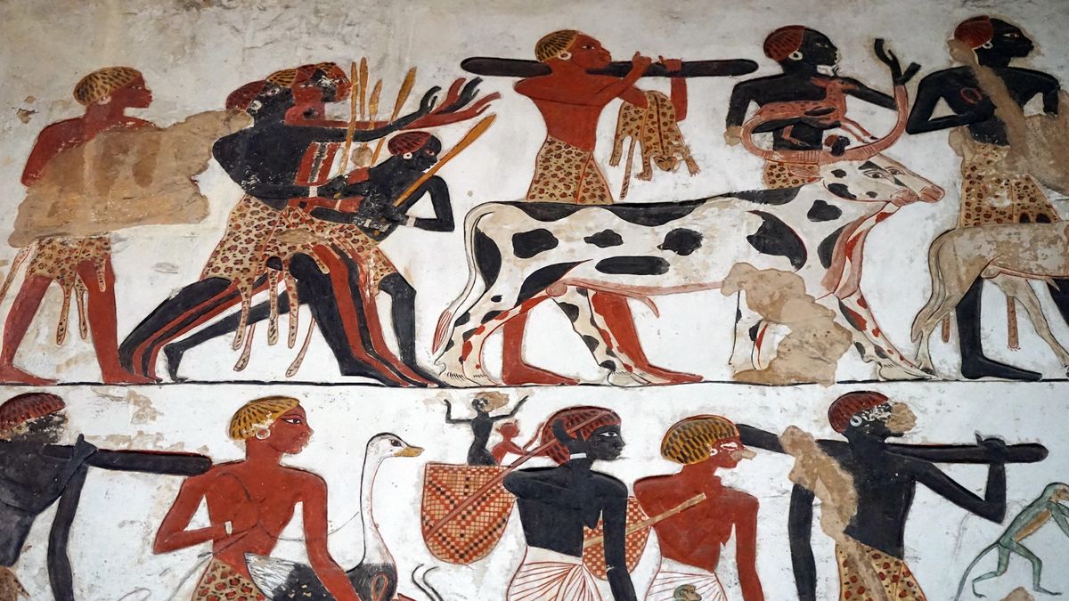 Захоронение элитной женщины со страусиным веером возрастом 4 000 лет показывает древнейшее в мире свидетельство использования головных ремней