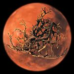 Эти странные гибридные земные формы жизни могли бы выжить на Марсе, утверждает новое исследование