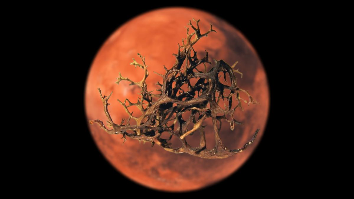 Эти странные гибридные земные формы жизни могли бы выжить на Марсе, утверждает новое исследование