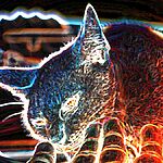 Физики создали самое горячее состояние кота Шредингера в истории квантовой механики