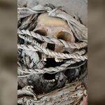 Массивная круглая гробница, заполненная людьми с боевыми шрамами, раскопана в Перу