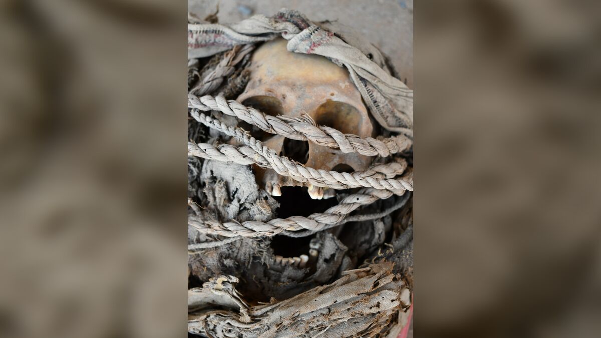 Массивная круглая гробница, заполненная людьми с боевыми шрамами, раскопана в Перу