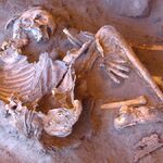 Неизвестный род людей жил в "Зеленой Сахаре" 7000 лет назад, свидетельствует древняя ДНК