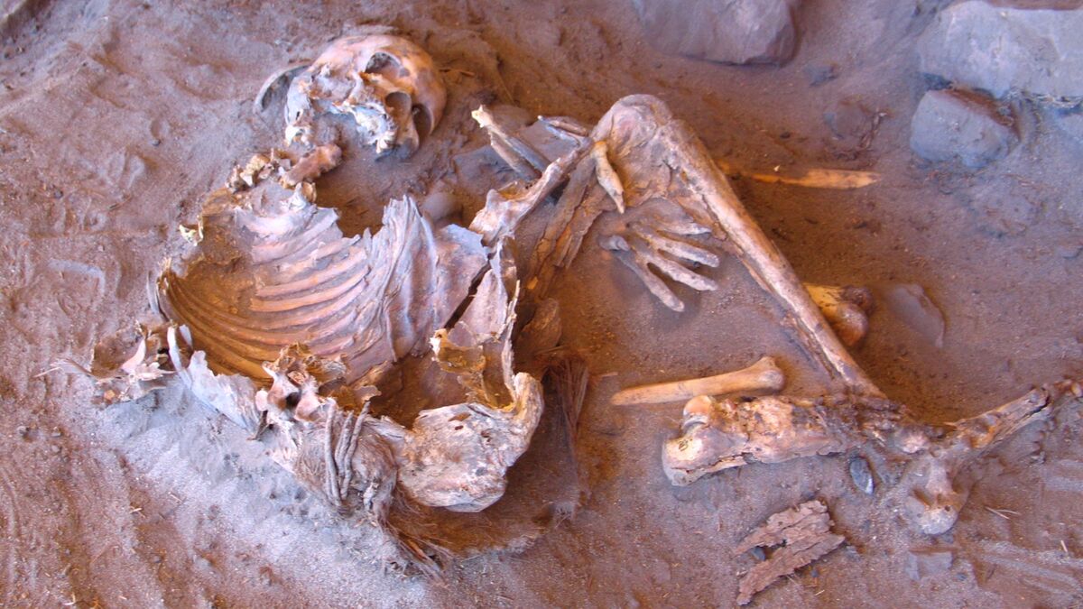 Неизвестный род людей жил в "Зеленой Сахаре" 7000 лет назад, свидетельствует древняя ДНК