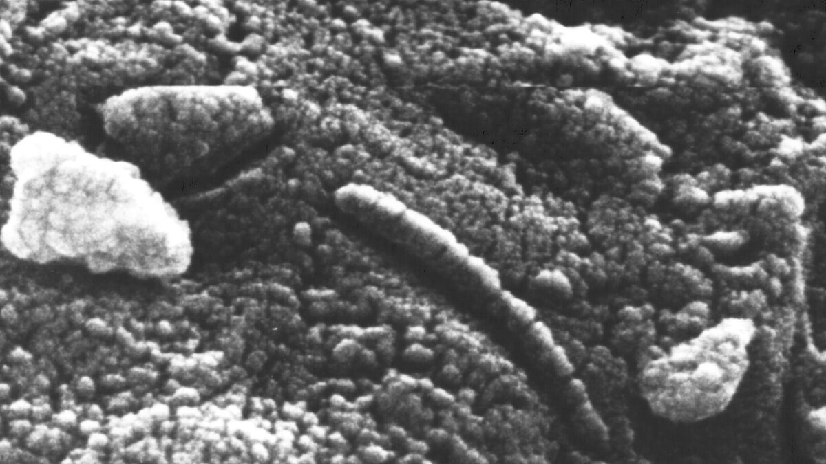 Поиск внеземной жизни: между надеждой и скепсисом