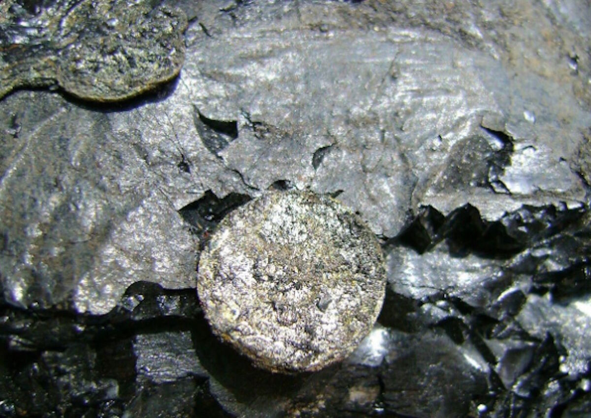 Неудобные Артефакты: Кто оставил «монеты» в угле возрастом 300 миллионов лет?