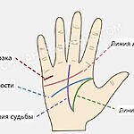 Карта Судьбы на Ладони: Код, Который Можно Переписать?