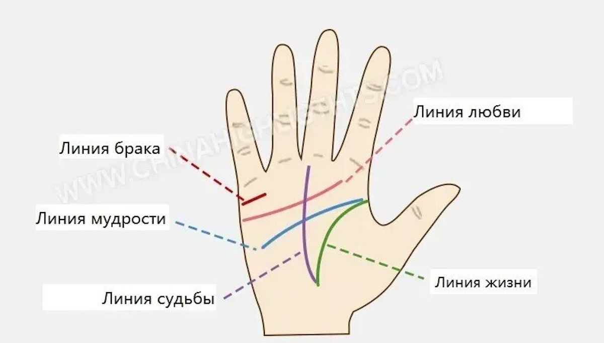 Карта Судьбы на Ладони: Код, Который Можно Переписать?