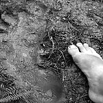 Незваный гость у костра: Жуткая встреча экспедиции с Алтайским 'Чучуной'