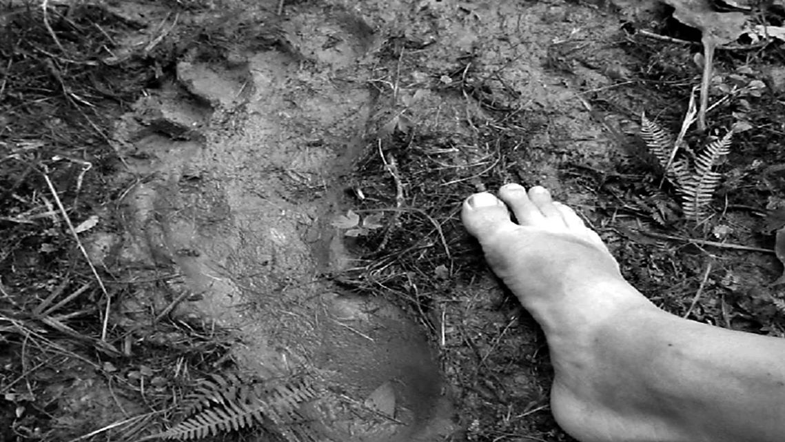 Незваный гость у костра: Жуткая встреча экспедиции с Алтайским 'Чучуной'