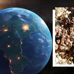 Секрет выживания инопланетной жизни может скрываться в лишайниках земных пустынь