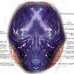 Зеркальная Земля: Когда спутниковые снимки показывают Мессию в Нейронной Сети Космоса