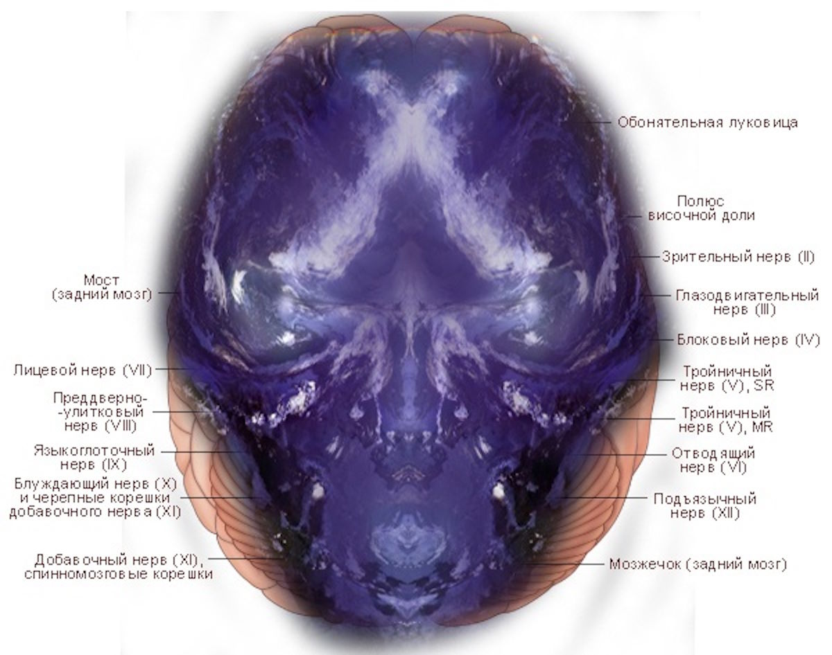 Зеркальная Земля: Когда спутниковые снимки показывают Мессию в Нейронной Сети Космоса