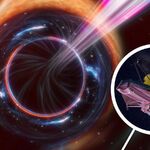 Пыльные галактики скрывали кровавую трапезу: телескоп Уэбба впервые запечатлел разрывающие звёзды чёрные дыры