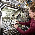 Эксперименты в невесомости: как исследования на МКС меняют науку на Земле