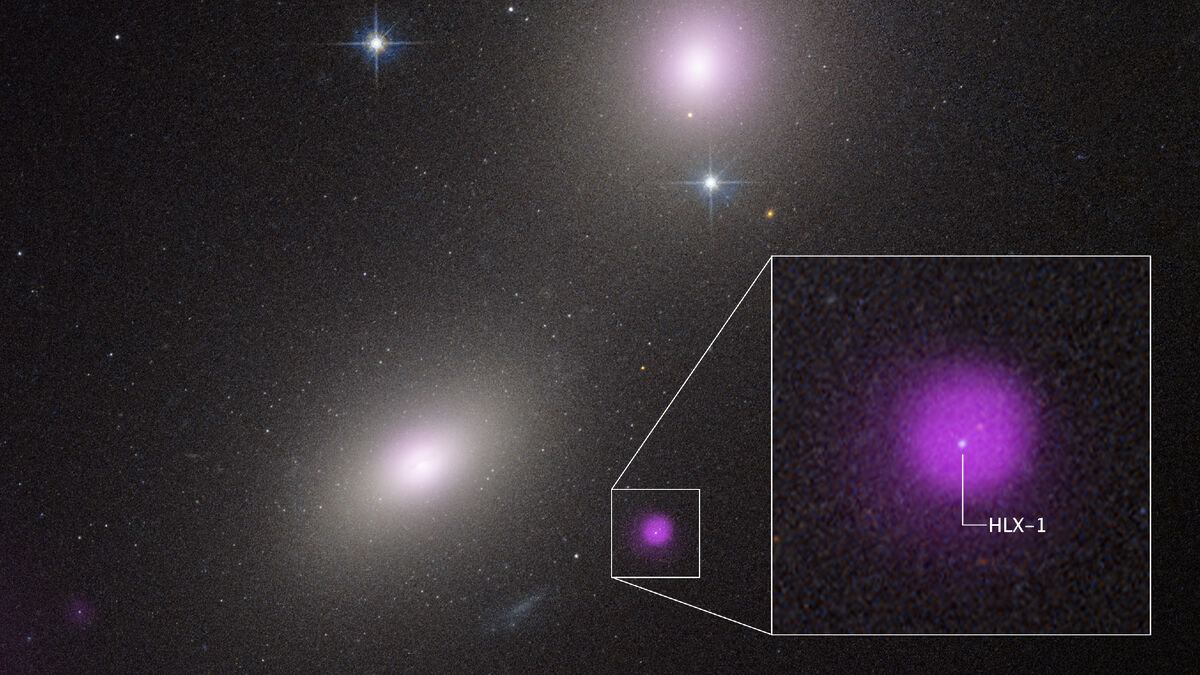 Тайна черной дыры средней массы: Звездная драма в гало далекой галактики