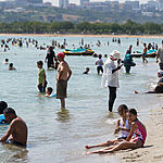 2023 год стал рекордным по морским тепловым волнам: угроза экосистемам и человечеству