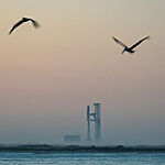 Космический грузовик в тупике: США отказываются от атолла Джонстон из-за угрозы экологии