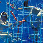 Космический вызов мышцам: как невесомость раскрывает секреты старения