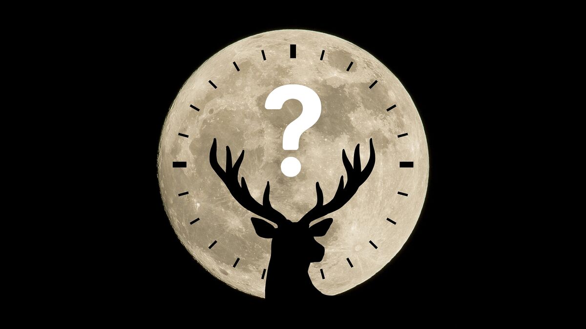 Луна Оленя в июле 2025: Когда и где увидеть яркое полнолуние