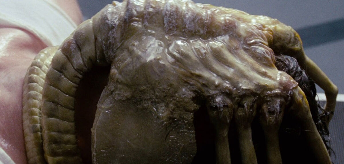 Анатомия идеального хищника: Научный взгляд на биологию ксеноморфа