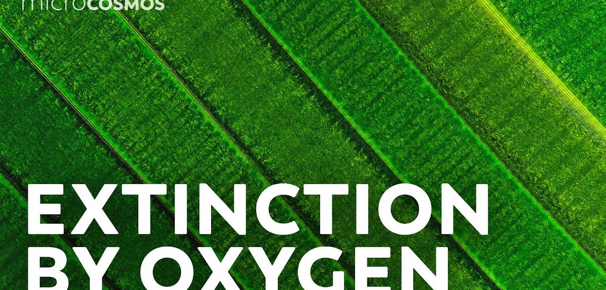 Применение Биосферы 2: Перспективы для Колонизации Марса