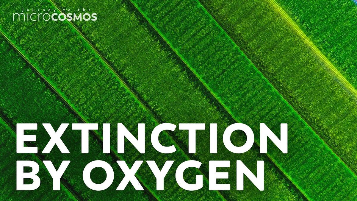 Применение Биосферы 2: Перспективы для Колонизации Марса