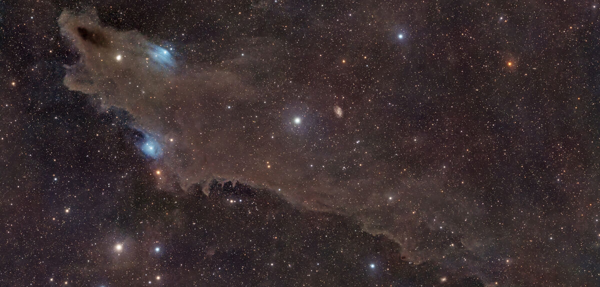 Космическая акула: Тайны темной туманности в созвездии Цефея