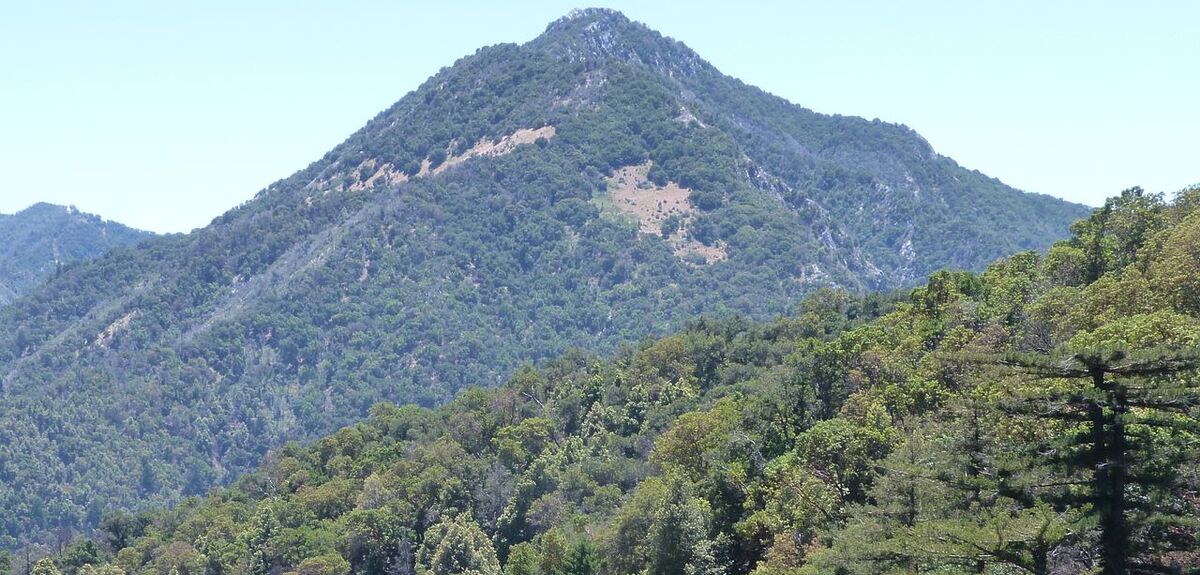 Спутниковая связь спасает жизни: История спасения девочки-скаута в каньоне