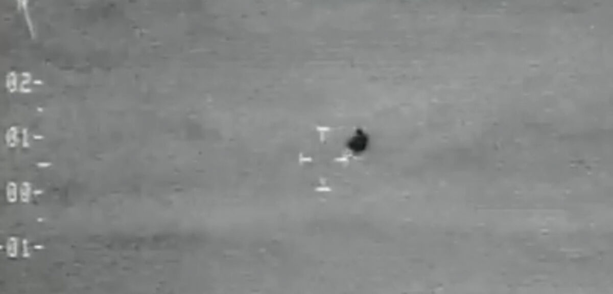 НАЯ: Борьба за прозрачность и доверие. Что скрывает правительство США?