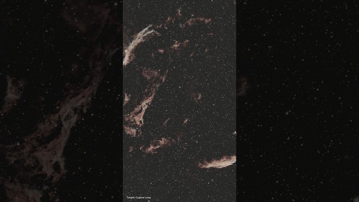 Звездный мальчик: 12-летний канадец открыл два астероида и мечтает стать астронавтом