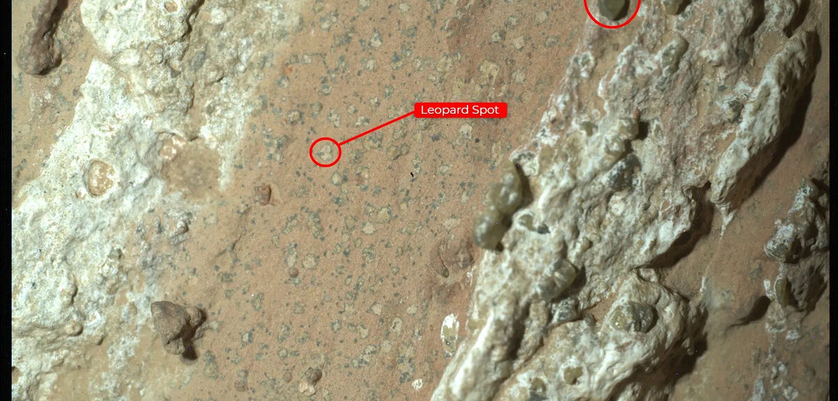 Загадка Жизни на Марсе: Обнаружение Биосигнатуры Ровером Perseverance