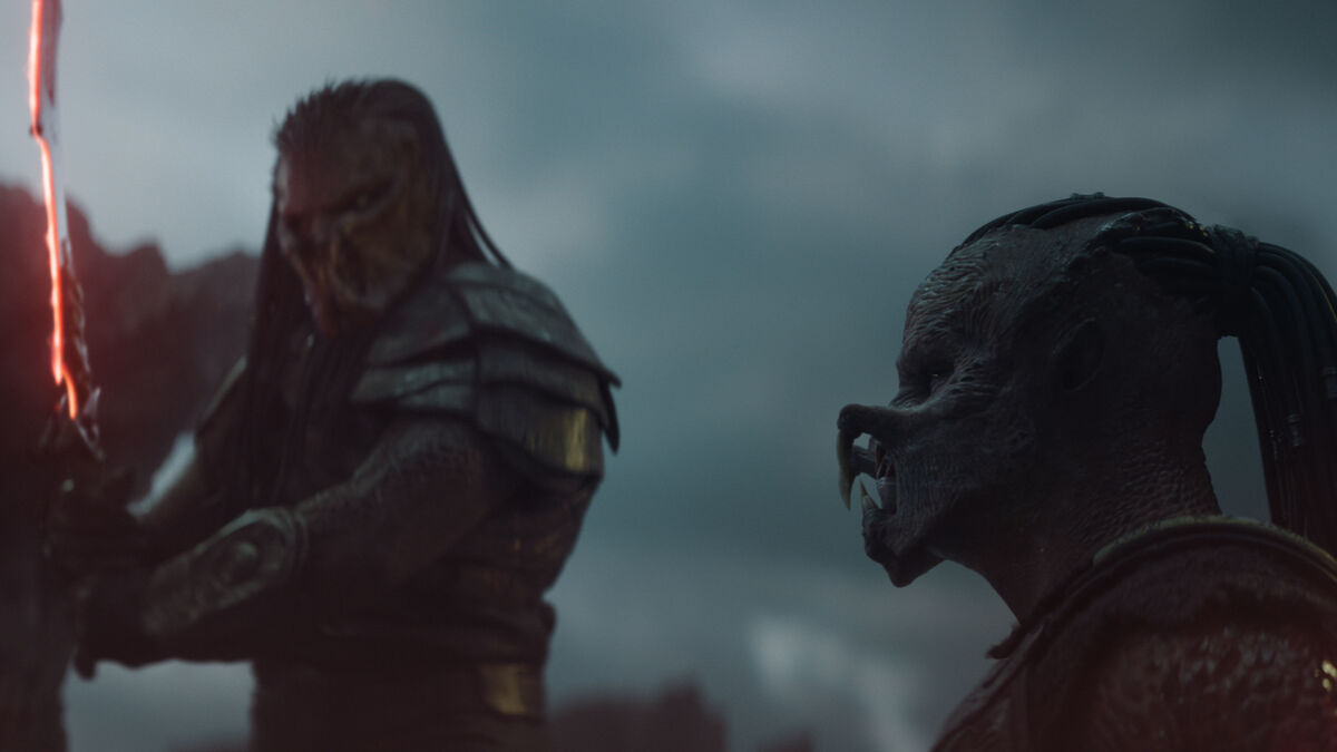 ХОРОШИЙ ПРЕДАТЕль: КАК «ПРЕДАТЕЛЬ: ПУСТЫНЯ» ИССЛЕДУЕТ САМООПРЕДЕЛЕНИЕ ВМЕСТО ИСТРЕБЛЕНИЯ ЧУЖЕЗЕМЦЕВ